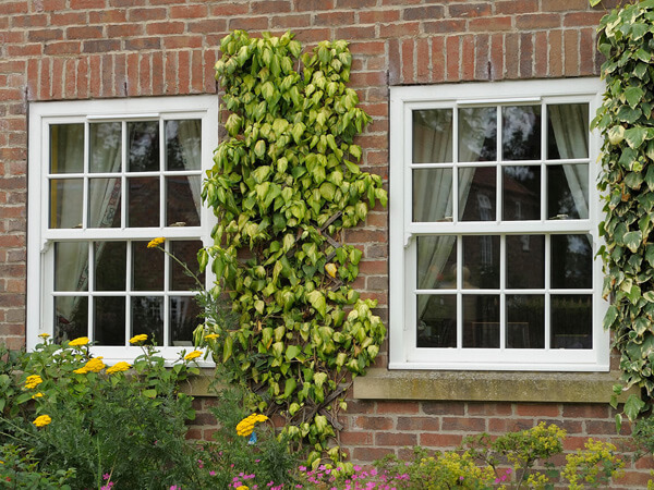 White sliding sash windows